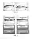 Fig. 07 - Spectroscopic characterization of seafood