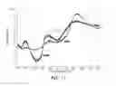 Fig. 10 - Spectroscopic characterization of seafood