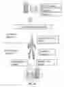 Fig. 02 - Sharing and executing sensitive logic semantics