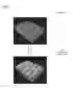 Fig. 07 - Image analyzing apparatus and program