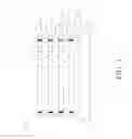 Fig. 02 - Apparatus and methods for through substrate via test