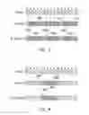 Fig. 17 - Method of radio resource scheduling in unlicensed spectrum and related apparatuses using the same
