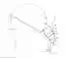 Fig. 01 - SURGICAL MASK