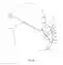 Fig. 09 - SURGICAL MASK