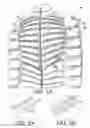 Fig. 02 - Cold weather vented garment