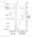 Fig. 08 - Lung water content measurement system and calibration method