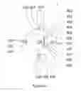 Fig. 40 - METHODS AND SYSTEMS FOR DETERMINING SUBJECT-SPECIFIC PARAMETERS FOR A NEUROMODULATION THERAPY