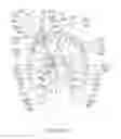 Fig. 45 - METHODS AND SYSTEMS FOR DETERMINING SUBJECT-SPECIFIC PARAMETERS FOR A NEUROMODULATION THERAPY