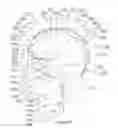 Fig. 46 - METHODS AND SYSTEMS FOR DETERMINING SUBJECT-SPECIFIC PARAMETERS FOR A NEUROMODULATION THERAPY