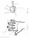 Fig. 03 - Method for determining and analyzing movement patterns during dental treatment
