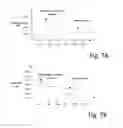 Fig. 07 - PORTABLE CANCER DIAGNOSTIC DEVICE AND SYSTEM