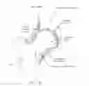 Fig. 07 - METHOD AND APPARATUS FOR DISTRACTING A JOINT
