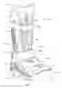 Fig. 02 - Orthopedic device