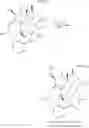 Fig. 83 - Multi-arm polymeric prodrug conjugates of taxane-based compounds