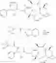 Fig. 89 - Multi-arm polymeric prodrug conjugates of taxane-based compounds
