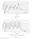 Fig. 05 - Formulations of 5-fluorocytosine and uses thereof