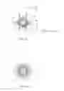 Fig. 15 - Insert with nozzle formed by micro stepped and conical surfaces