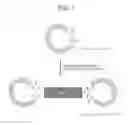 Fig. 02 - c-Met protein agonist
