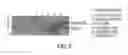 Fig. 07 - Mitochondrial targeting and therapeutic use thereof