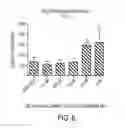 Fig. 09 - Mitochondrial targeting and therapeutic use thereof