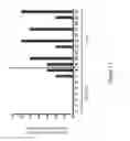 Fig. 12 - NOVEL CELL LINES EXPRESSING ENaC and METHODS USING THEM