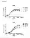Fig. 03 - Antibodies against human CD38
