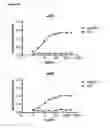 Fig. 05 - Antibodies against human CD38