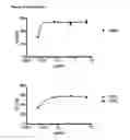 Fig. 12 - Antibodies against human CD38