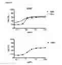 Fig. 13 - Antibodies against human CD38