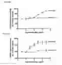 Fig. 19 - Antibodies against human CD38