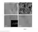 Fig. 04 - GRAPHENE NANORIBBON-BASED GAS BARRIER COMPOSITES AND METHODS OF MAKING THE SAME