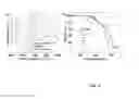 Fig. 07 - GRAPHENE NANORIBBON-BASED GAS BARRIER COMPOSITES AND METHODS OF MAKING THE SAME