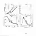 Fig. 08 - GRAPHENE NANORIBBON-BASED GAS BARRIER COMPOSITES AND METHODS OF MAKING THE SAME