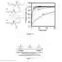 Fig. 09 - Use of sulfur and selenium compounds as precursors to nanostructured materials