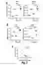 Fig. 09 - Compounds for inducing anti-tumor immunity and methods thereof
