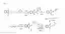 Fig. 04 - Method of generating linkage-specific di-and polyprotein probes