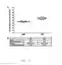 Fig. 11 - Method, kits and materials for detection of Lyme disease sp. infection