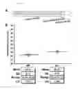 Fig. 14 - Method, kits and materials for detection of Lyme disease sp. infection