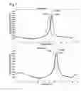 Fig. 08 - Mutation analysis