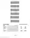 Fig. 07 - NATIVE-EXTENSION PARALLEL SEQUENCING
