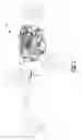 Fig. 02 - Piston crown to raise compression ratio