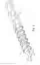 Fig. 07 - Screw-type fastener