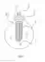 Fig. 03 - Ornamental Lamp with Energy-Saving Function