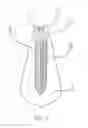 Fig. 06 - Ornamental Lamp with Energy-Saving Function