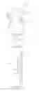 Fig. 21 - Firearm support system