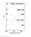 Fig. 01 - Spectroscopy for gunshot residue analysis