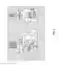 Fig. 04 - MULTI-PHOTON SYSTEMS AND METHODS