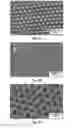 Fig. 06 - Perforated contact electrode on vertical nanowire array