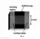 Fig. 09 - Perforated contact electrode on vertical nanowire array
