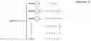 Fig. 09 - Method for determining properties of a medium and device for determining properties of a medium